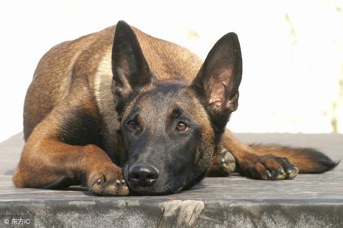 u=512278203,47410072&fm=26&gp=0.jpg u=512278203,47410072&fm=26&gp=0.jpg