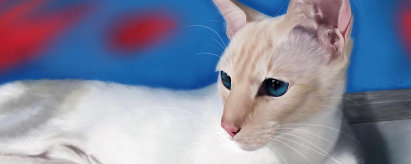 暹罗猫叫声难听吗