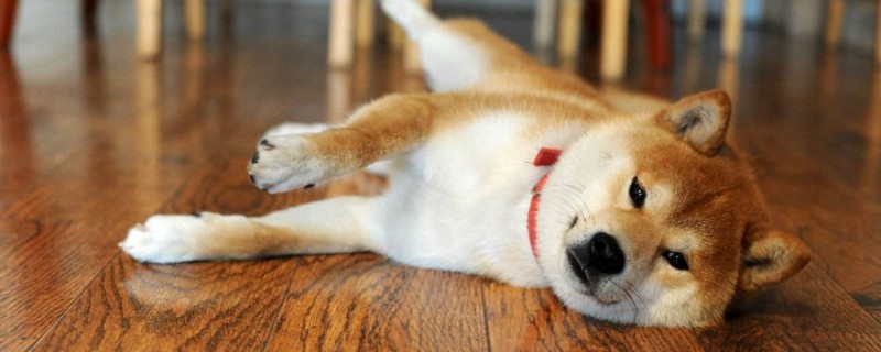 细小的最佳杀灭方法